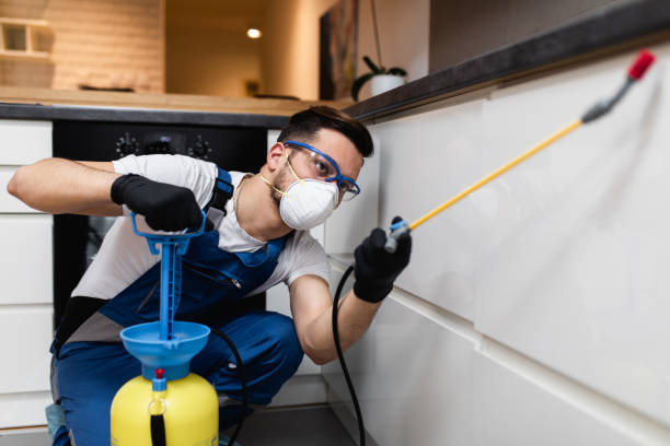 Best Bed Bug Extermination  in Roselle Park, NJ