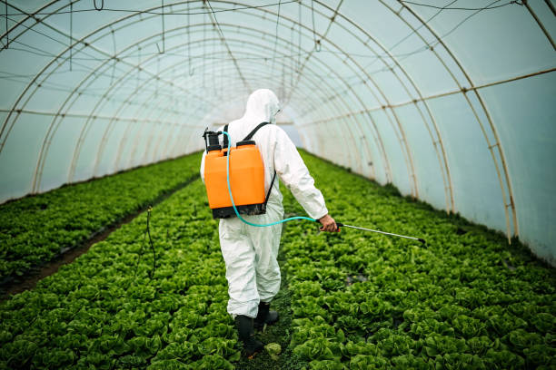 Best Pest Removal Services  in Roselle Park, NJ