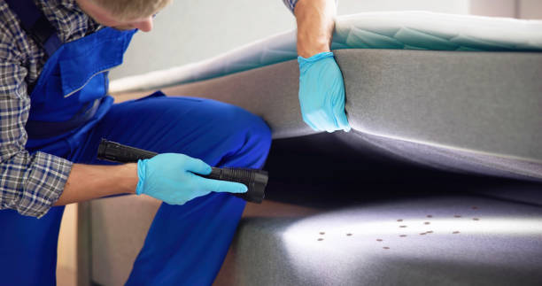 Wasp Removal Services in Roselle Park, NJ