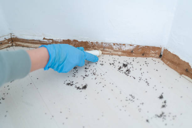  Roselle Park, NJ Pest Control Pros